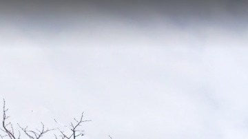 International House, afiliada a Columbia University