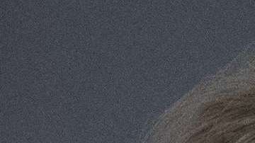 J. K. Rowling ha expresado en Twitter su rechazo a Trump.