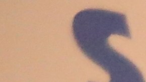 Salazar aspira al Senado de NY por el districto 18 de Brooklyn