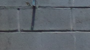 Mural en memoria de "Junior" Guzmán Feliz en El Bronx, NYC.