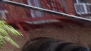 Murales para la memoria de "Junior" Guzman Feliz en todo el barrio de Belmont, Bronx.