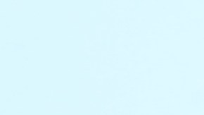 Ofrendas en memoria de Guzmán-Feliz plenaron varios días el frente de la bogeda