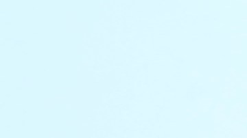 Ofrendas en memoria de Guzmán-Feliz plenaron varios días el frente de la bogeda