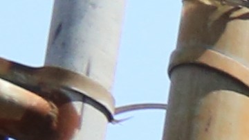 Mural en memoria de "Junior" Guzman Feliz en el barrio Belmont, El Bronx