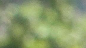 Letitia James protesta contra nominacion de juez Kavanaugh a la Corte Suprema.