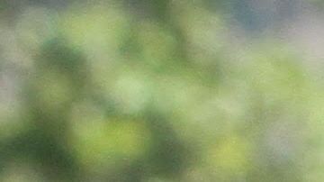 Letitia James protesta contra nominacion de juez Kavanaugh a la Corte Suprema.