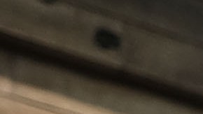 Yeni González llora tras salir del centro Cayuga en East Harlem, donde vio a sus tres hijos.