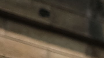 Yeni González llora tras salir del centro Cayuga en East Harlem, donde vio a sus tres hijos.