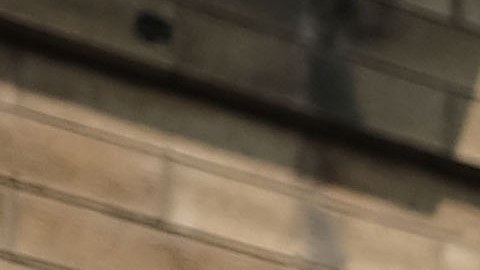 Yeni González llora tras salir del centro Cayuga en East Harlem, donde vio a sus tres hijos.