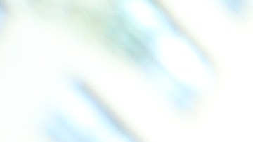 Manuel, empleado de un restaurant en Manhattan denuncia practicas de intimidación de jefes.