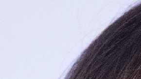 Melania Trump y Philip May no se conocen personalmente.