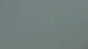 Sarah Peters se declaró culpable de los cargos.