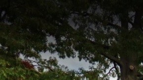 Moore Homestead Playground, Queens