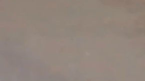 Anthony Avalos perdió la vida con solo 10 años.