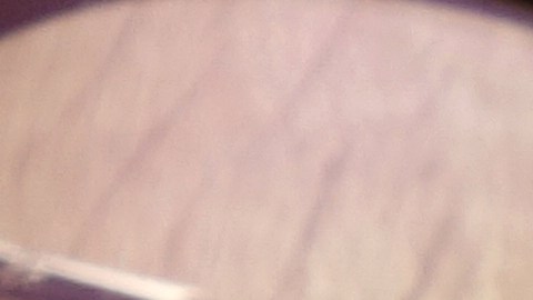 Se investigan las cláusulas y prácticas que impiden la contratación por competidores a trabajadores de bajos salarios./ Shutterstock