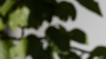 La familia de Eric Garner.