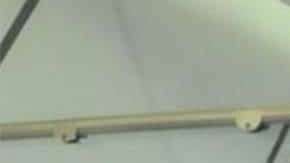 Paola Rojas y Zague.