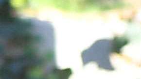 Paris Jackson en Los Ángeles.