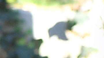 Paris Jackson en Los Ángeles.