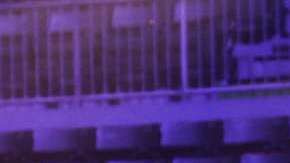 CNCO ensayando para Premios Juventud 2018 / Cortesía: Univision