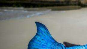 La sesión de fotos de esta familia ha conquistado internet.