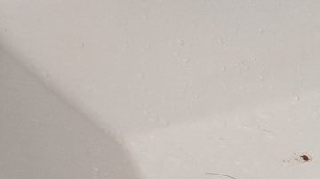 Invasión en la zona más privada de la casa