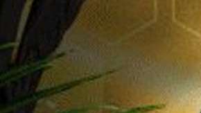 Conoce al ganador de "Reto 4 Elementos"