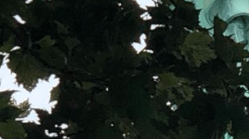 Una mujer intenta escalar la Estatua de la Libertad.