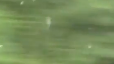 Una mujer conduce sin casco, mientras manda un mensaje de texto.