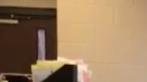 La desmesurada alegría de una mujer al encontrar a su perro.