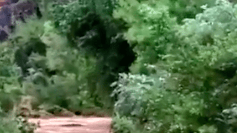 La lluvia hizo que aumentara el nivel del río arrastando todo a su paso.
