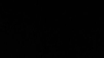 El Servicio Secreto rinde honores al oficial.