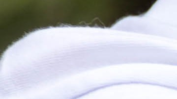 Usar repelente de insectos es la medida más básica y la más efectiva.