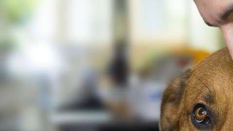 Tu perro puede ser tu mejor terapia para salir de la depresión.