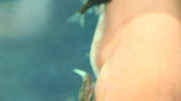 Se ha puesto muy de moda esta práctica de belleza.