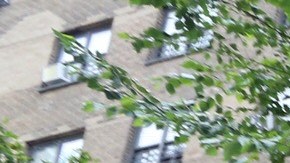 Libre de humo en NYCHA, campaña diseñada para crear la vivienda más sana para residentes y trabajadores.