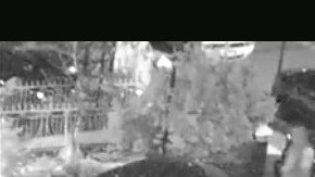 Tres hombres llegaron a la casa