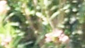 George y Amal Clooney.