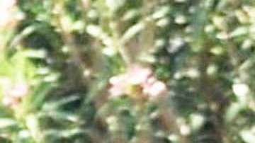 George y Amal Clooney.