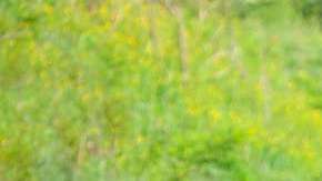 Las modas podrían salir más caras.