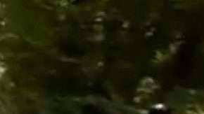 El ciclista belga Philippe Gilbert en su caída de este martes en el Tour de France.