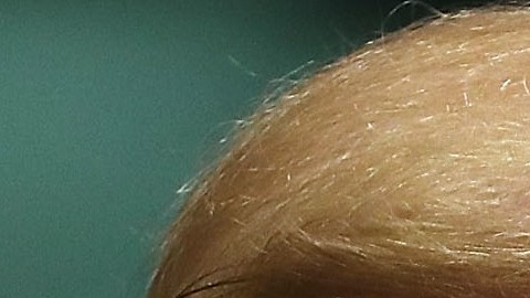 Donald Trump y Andrés Manuel López Obrador.