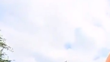 Activistas pretenden elevar el llamado "Trump Baby" durante la visita del mandatario de EEUU.