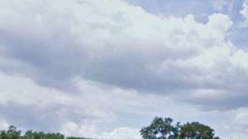 Universidad de Houston