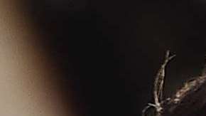 William Levy y David Zepeda