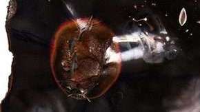 Para muchos no es sencillo hablar con su familia de sus preferencias sexuales.