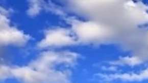 Los científicos analizaron los restos humanos con una nueva técnica.