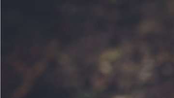 La capacidad innata no es la explicación.