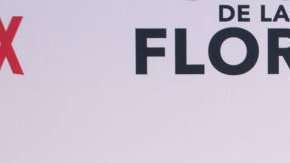 102971792_gettyimages-1013644520