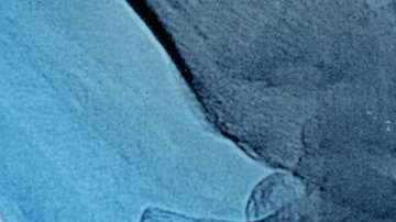 102978080_gettyimages-925864542-copy